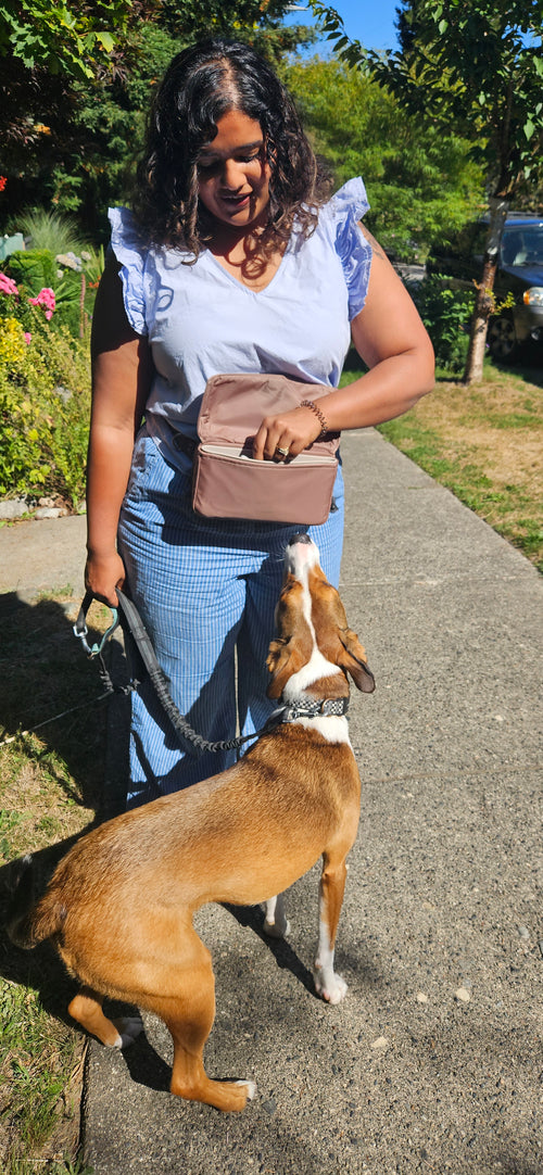 The Scout | Dog Treat Bag | by Ritual Gear